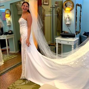 Cathedral length tiered veil